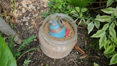 เก็บระเบิด