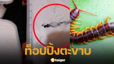 สาวอินเดีย เจอตะขาย ในไอติม-2