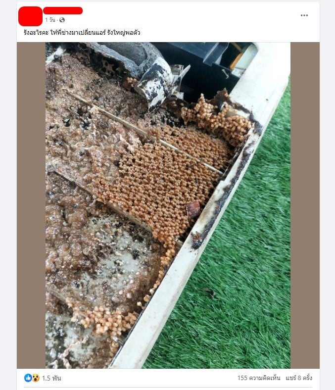 สาวโพสต์ถาม ล้างแอร์ เจอรังแมลงเต็ม