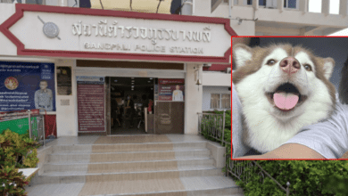 บิว รับทราบข้อหา