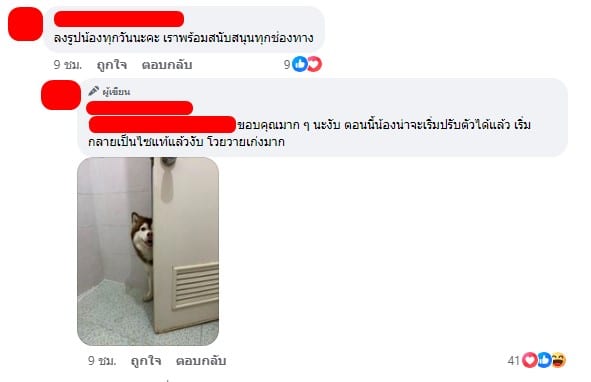 อัปเดต สถานการณ์ หมวยเล็ก ไซบีเรียน