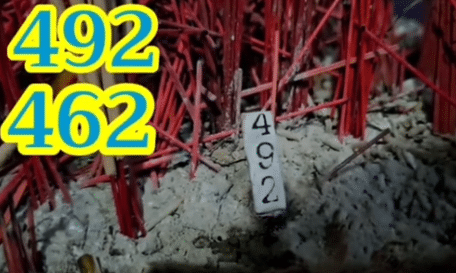 เลขเด็ด ปู่ขุนหาญ 16 6 7