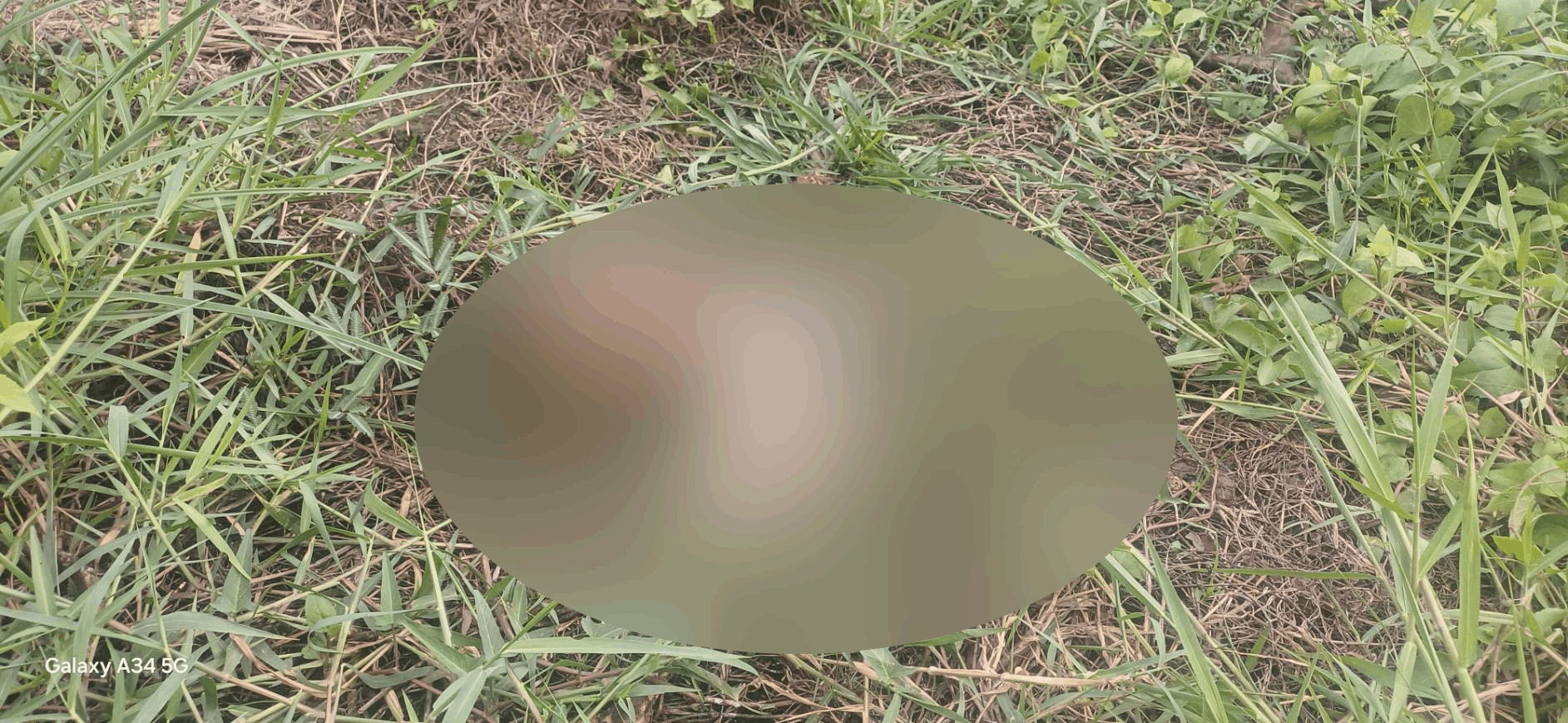 โครงกระดูกคน ปริศนา 67