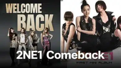 2ne1 คัมแบ็ค 2024 เวิลด์ทัวร์