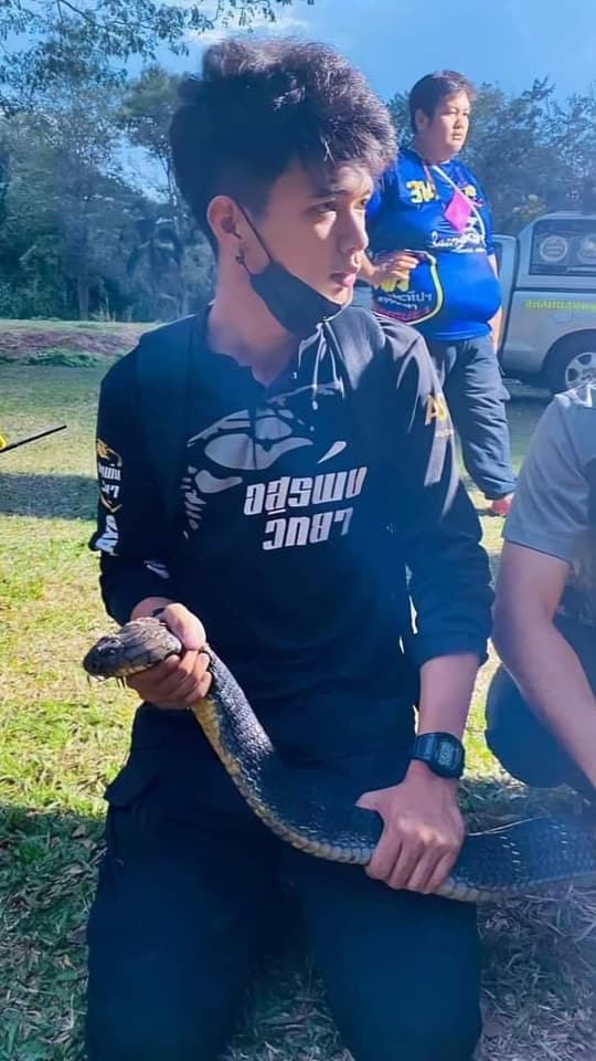 อั๋น จักรินจับงูจงอางที่เลื้อยเข้าบ้านประชาชน