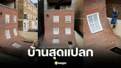 ฮือฮา ผนังบ้านที่อังกฤษ ไหลกองพื้นเหมือนแผ่นยาง ผู้รู้เฉยความจริง ไม่ใช่เรื่องเหลือเชื่อ