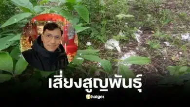 ทำไมต้องฆ่านกยูงอินเดีย เผยนกยูงไทยแท้ เสี่ยงสูญพันธุ์