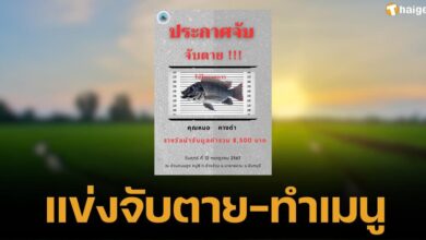 Changkham Subdistrict announces competition to kill and make menus Black Chin Fish wins nearly ten thousand in prize money (1)