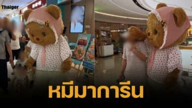 พี่จีนเอาอีกแล้ว ปล่อย &#039;หมีมาการีน&#039; ก็อปสู้ &#039;น้องหมีเนย&#039; ทำมัมหมีไทยเดือดหนัก