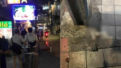 นักท่องเที่ยวจีนฆ่าน้องเย็นแมวจร เตะกระทืบ ลากกระเป๋าทับซ้ำ