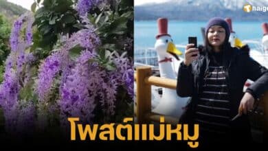Clearing up doubts about Mother Moo's post before Mr. Naphat opened up about rumors of breaking up with Baifern this afternoon