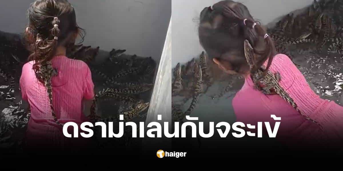 Drama ends with clip of young girl sleeping with 200 crocodiles. Farm administrator explains that she has been playing since she was a child.