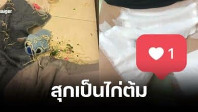 หนุ่มทำน้ำร้อนลวกน้องชายจนสุกกลายเป็นสีขาว