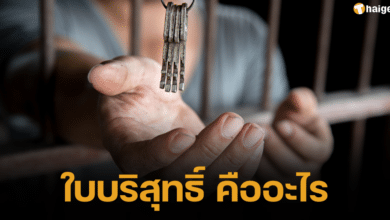 ใบบริสุทธิ์คืออะไร ใช้ยังไงได้บ้าง