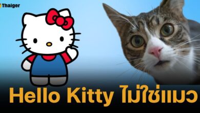 Hello Kitty ไม่ใช่แมว