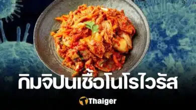 กิมจิ โนโรไวรัส