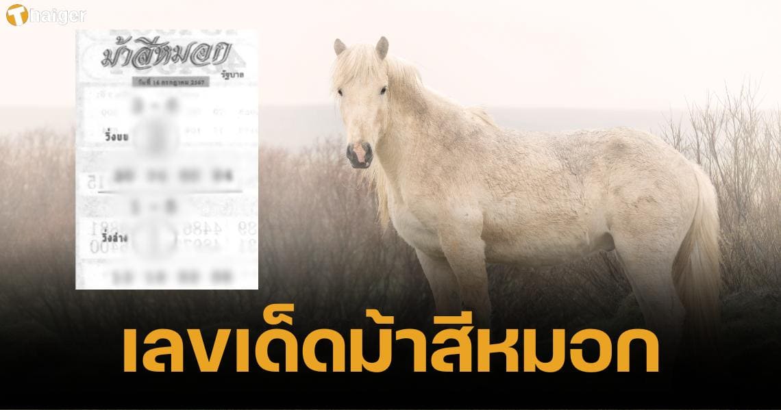 เลขเด็ด ม้าสีหมอก 16 ก.ค. 67 แนวทางเลขท้าย 2 ตัว เด่น 1-3 | Thaiger ข่าวไทย