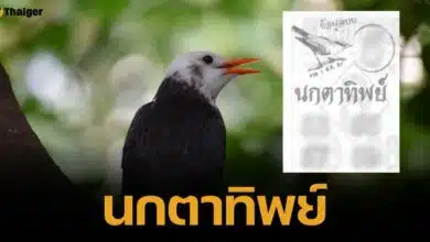 เลขเด็ด นกตาทิพย์ 1 8 67 พญาปักษาคาบเลขท้ายบอกต่อ ชี้ 5 มาแรงมาก