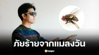 หนุ่มจีนตาบอดเพราะตบแมลงวัน เตือนภัยเชื้อร้ายจากห้องน้ำ