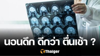 คนนอนดึกตื่นสาย ฉลาดกว่า คนนอนเร็วตื่นเช้า
