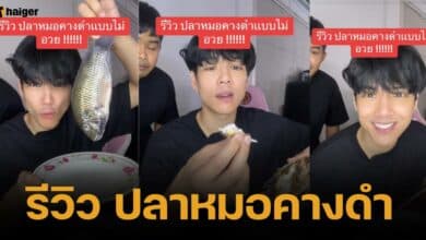 "นิกกี้ ณฉัตร" รีวิวรสชาติ กินปลาหมอคางดำครั้งแรก แบบไม่อวย