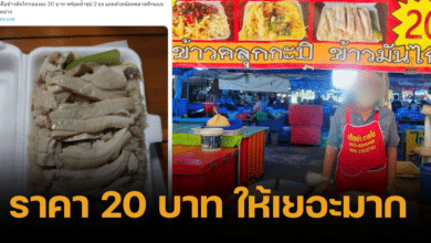 Open the location of 20 baht chicken rice shop. A brave merchant gives you lots of chicken meat in boxes.