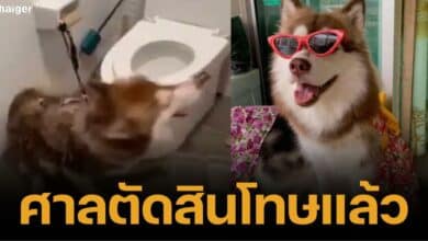 _Progress Girl pours hot water on Muay Lek, court sentences her to jail and fine Ready to enter mental therapy