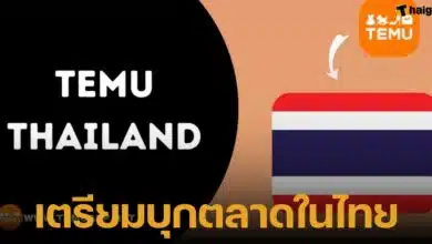TEMU อีคอมเมิซของประเทศจีน เตรียมเปิดบริการในไทย