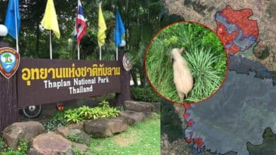 ข่าวอุทยานป่าทับลาน