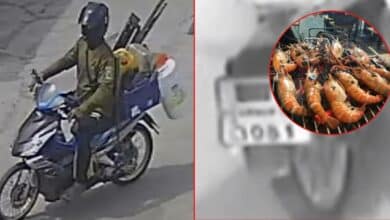 ราชพฤกษ์ซีฟู้ดบุฟเฟ่ต์ ประกาศจับขโมย