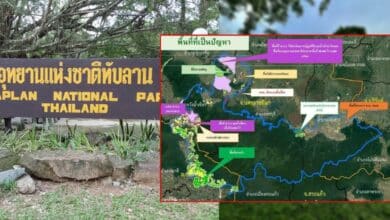 ปัญหาป่าทับลานวันนี้