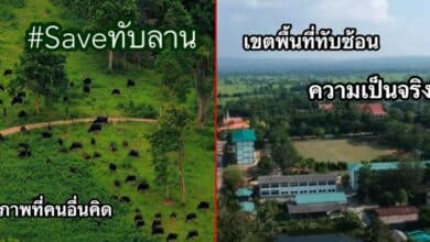 พื้นที่ทับซ้อนทับลาน