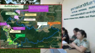 ป่าทับลาน