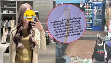 พลอย ดาวติ๊กตอกขโมยของ