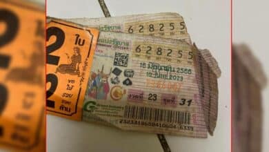 ลอตเตอรี่เก่า 1 ปี