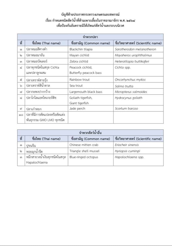 กรมประมงประกาศห้ามนำเข้าปลาเอเลียนสปีชีส์