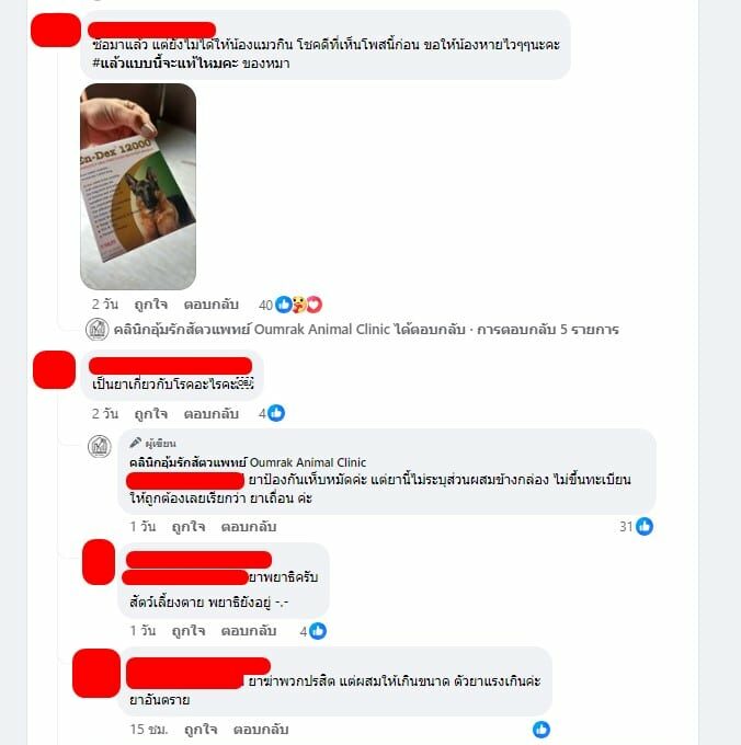 คลินิกสัตว์ เตือนยาเถื่อน เห็บหมัด หมาแมว