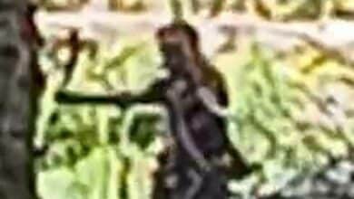 ชายคลั่งสุราษฎร์ธานี