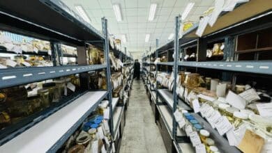 เจอหลักฐานสำคัญ ปลาหมอคางดำ เผยเจอในบ่อพักน้ำเอกชน ในปี 2560 เรียกชี้แจงแล้ว