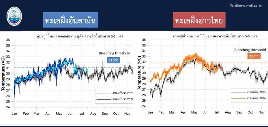 ปะการังฟอกขาว จบลงแล้ว 