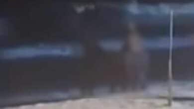 ป่าตอง มีเพศสัมพันธ์