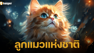 ลูกแมวแห่งชาติ 10 กรกฎาคม ทุกปี