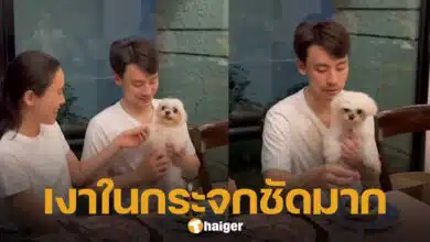วิล ชวิณ ลงคลิปใหม่ ทำคนแห่โฟกัสเงาในกระจก-3