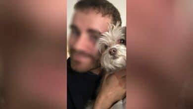 เจอตัวแล้ว ชายออสเตรเลียหายตัวในไทย หลังขาดการติดต่อนาน 15 วัน