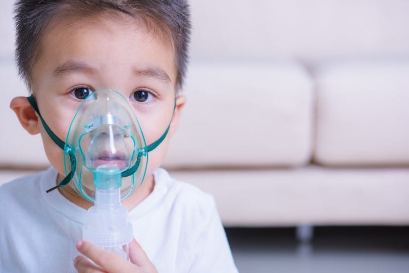 เชื้อไวรัส RSV หากเป็นแล้วสามารถเป็นซ้ำได้