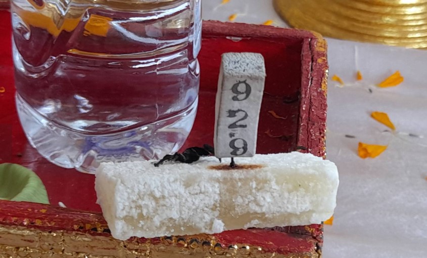 เลขเด็ดยอดเงินปากนาคคำชะโนด 1 7 67