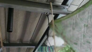 ยายจับหลานแขวนคอ เครียดป่วยรุมเร้า กลัวตายไปแล้วไม่ได้ดูแล หลานตาย แต่ตัวเองเชือกขาดเลยรอด