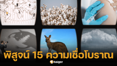 ภาพของแผนที่โลก ต้นฝ้าย และอื่น ๆ เล่าเรื่องความเชื่อโบราณ