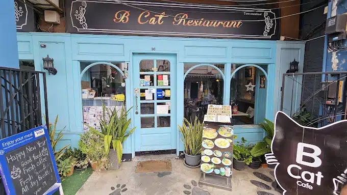 B Cat Café คาเฟ่แมวย่านเมืองเก่าของภูเก็ต