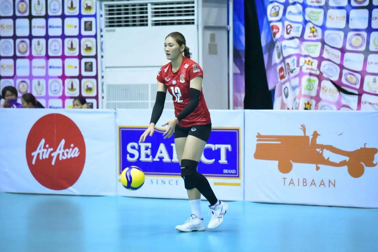 ประวัติ เตย หัตถยา บำรุงสุข จากจุดเริ่มต้นในกีฬาวอลเลย์บอล จนได้ไปเล่นลีกอาชีพในประเทศญี่ปุ่น ร่วมกับทีม โตโยต้า ออโตบอดี ควินซีส์